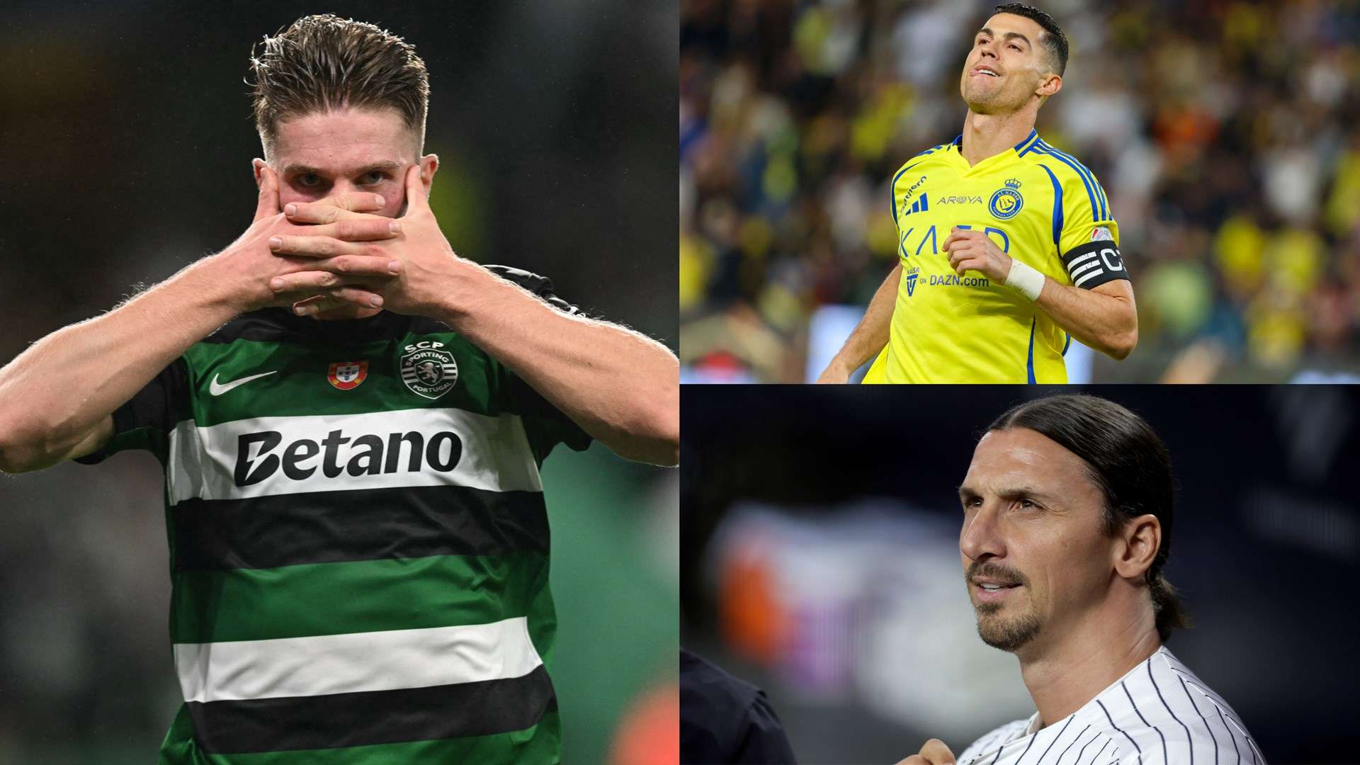 的广阔舞台 的广阔舞台